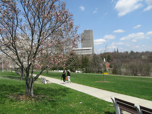 The Cultural Education Center (in the distance) in spring.