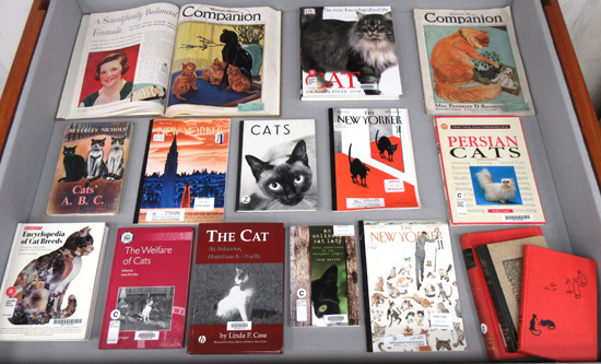 Cats and Dogs exhibit, left case with books and magazines featuring cats on display
