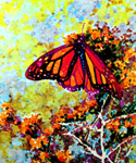 Monarch butterfly, from the illustration on the cover of one of the issues of The Conservationist on display.