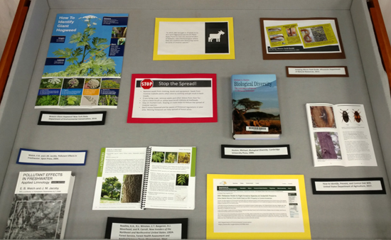center display case, which information about how to identify and stop the spread of some invasive species