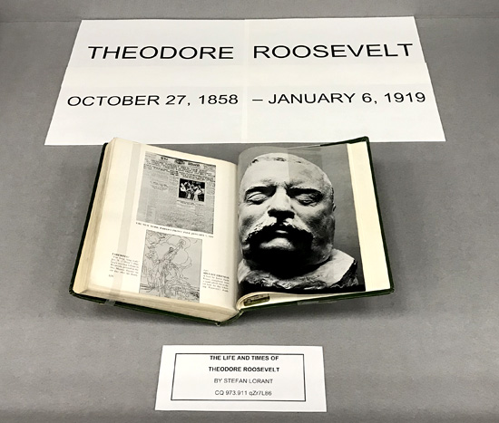 Theodore Roosevelt exhibit - center case