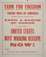 US WWI poster (general): Farm For Freedom