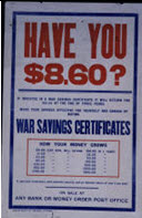 Canadian WWI general poster: Have You $8.60?