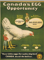 Canadian WWI general poster: Canada's Egg Opportunity