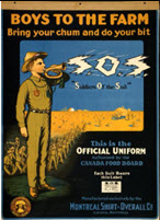 Canadian WWI general poster: Boys to the Farm
