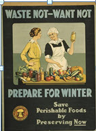 Canadian WWI general poster: Waste Not – Want Not