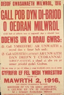 English WWI recruiting poster: Deddf Gwasanaeth Milwrol, 1916 