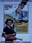 US WWI poster (general): Spruce Production