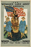 US WWI poster (general): The Woman's Land Army