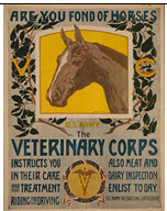 US WWI recruitment poster: Are You Fond of Horses?