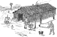 Drawing of an Iroquois longhouse